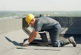 Best Roof Coating and Sealing  in Shepherd, MI